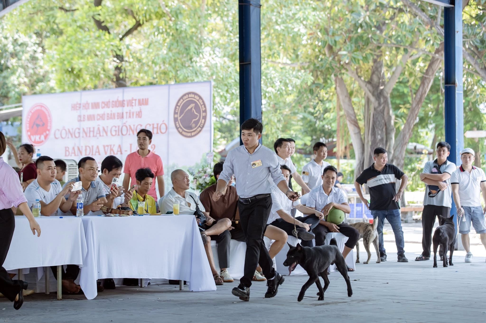 Giao lưu & công nhận giống chó bản địa H’Mông Cộc – Trí Linh đồng hành cùng CLB Tây Hồ